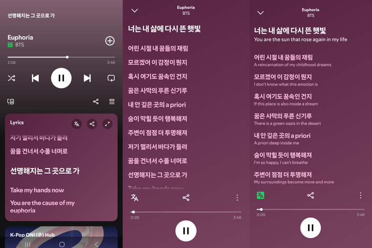 Tampilan fitur terjemahan lirik di Spotify.