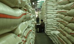 Kementan Prediksi Harga Beras hingga Awal 2020 Stabil 