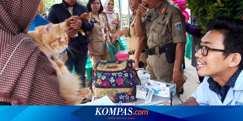 Pemkot Jaktim Gelar Vaksin Rabies Gratis Untuk Anjing Dan Kucing Di Ciracas