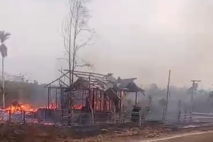 Karhutla di Papua Barat, Rumah Warga Terbakar Hingga Api Merembet ke Cagar Alam