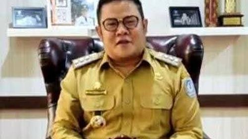 Profil Riza Herdavid, Bupati Bangka Selatan yang Kalahkan Kotak Kosong