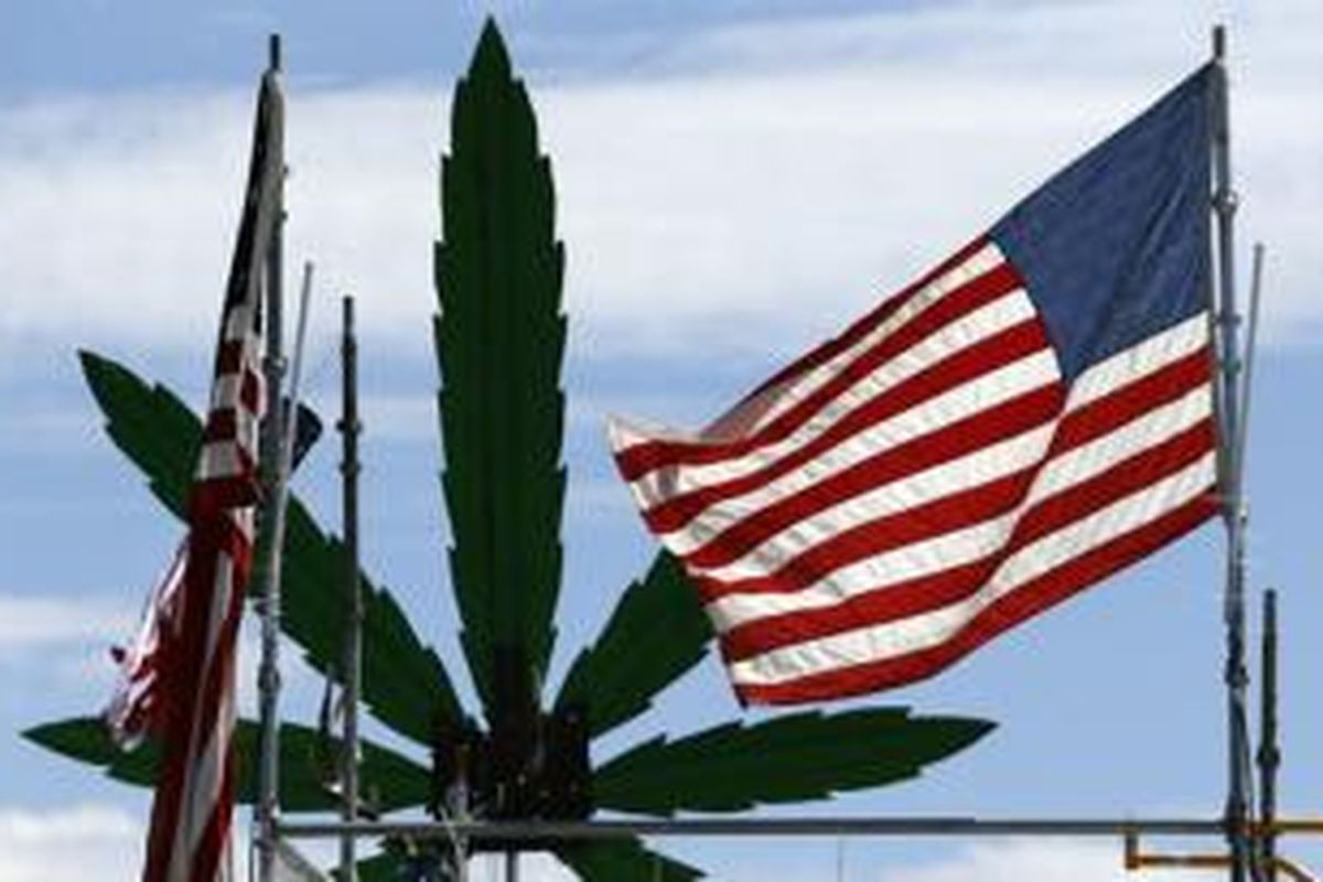 Ilustrasi legalisasi ganja di AS