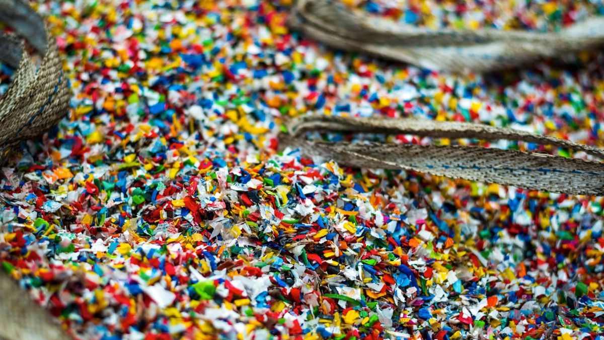 Studi Sebut Paparan Mikroplastik Bisa Perparah Kondisi Fatty Liver