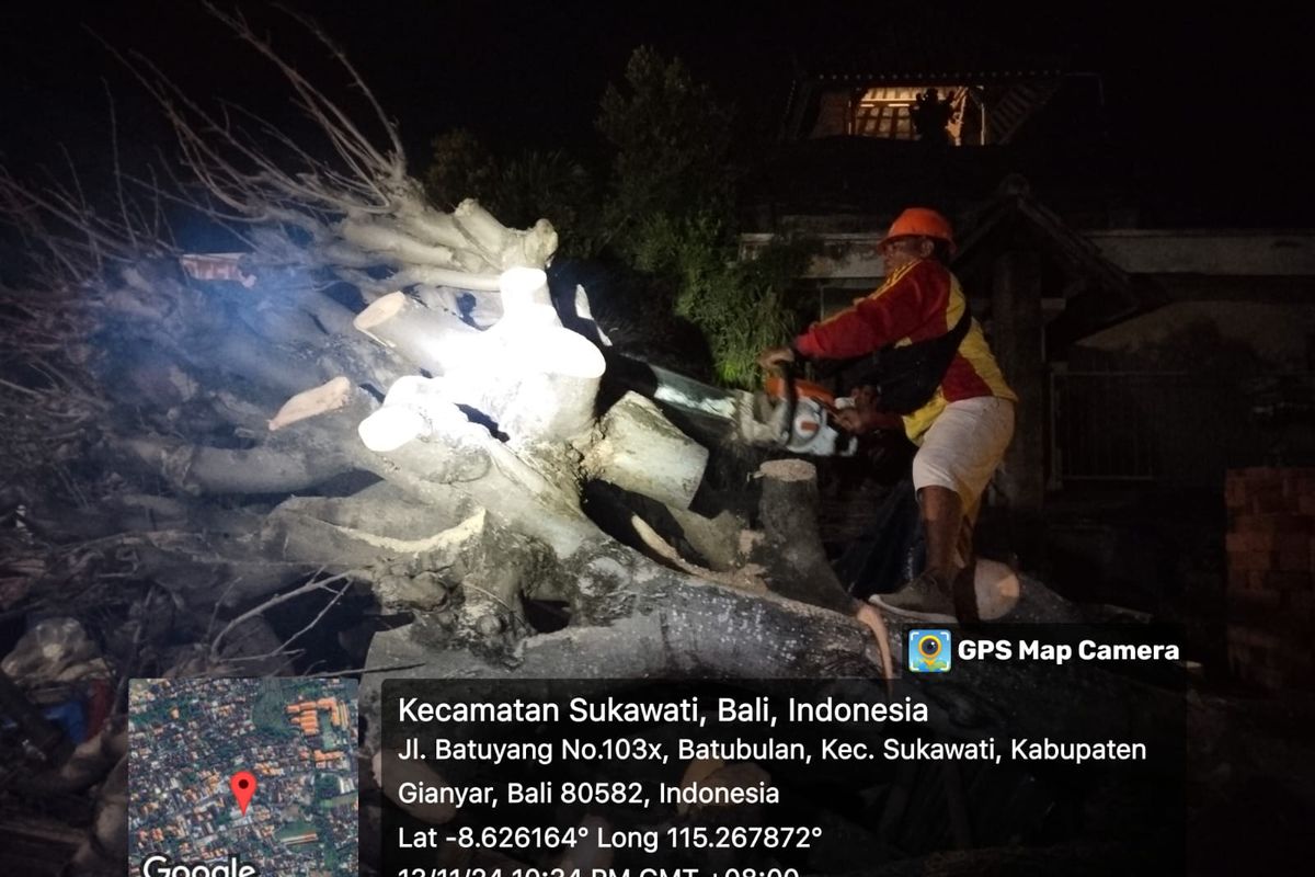 Warung di Bali Tertimpa Pohon Tumbang, 1 Orang Tewas, 6 Luka-Luka