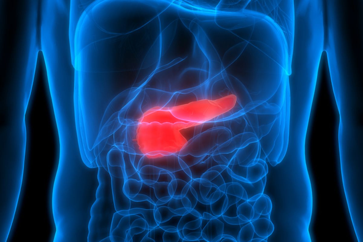 Salah satu penyakit yang mengancam kesehatan dan kerja pankreas yaitu peradangan atau pankreatitis. 