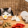 Bolehkah Kucing Makan Telur? Ketahui Manfaat dan Risikonya