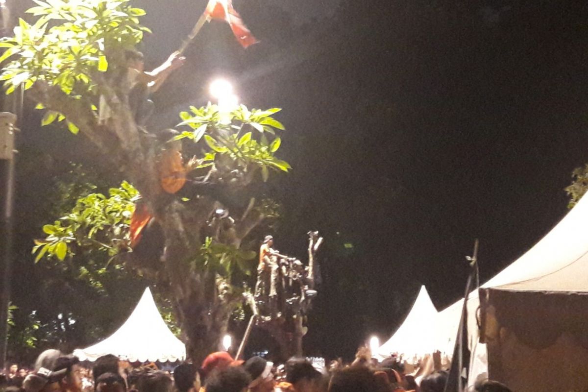 Sejumlah Jakmania nekat memanjat pohon demi menyaksikan laga final Piala Presiden secara nyaman