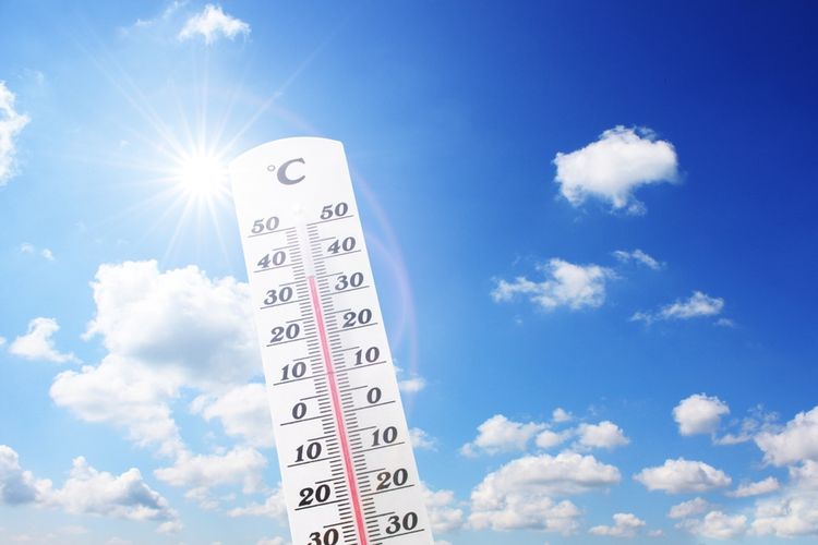 Ilustrasi cuaca panas. Simak prakiraan cuaca dan suhu udara di Yogyakarta hari ini yang dirilis oleh BMKG.