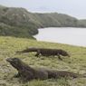 Kapal Wisata di Labuan Bajo Sudah Boleh Berlayar ke TN Komodo