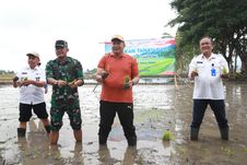 Dukung Ketahanan Pangan dan Makan Siang Bergizi, Pemkab Malang Gulirkan Gerakan Tanam Padi