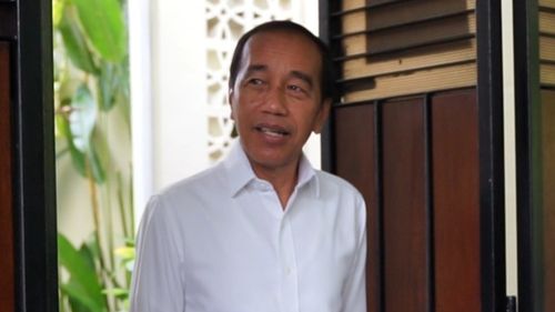 Respons Jokowi dan Gerindra soal Tudingan Partai Coklat Terlibat Pilkada 2024