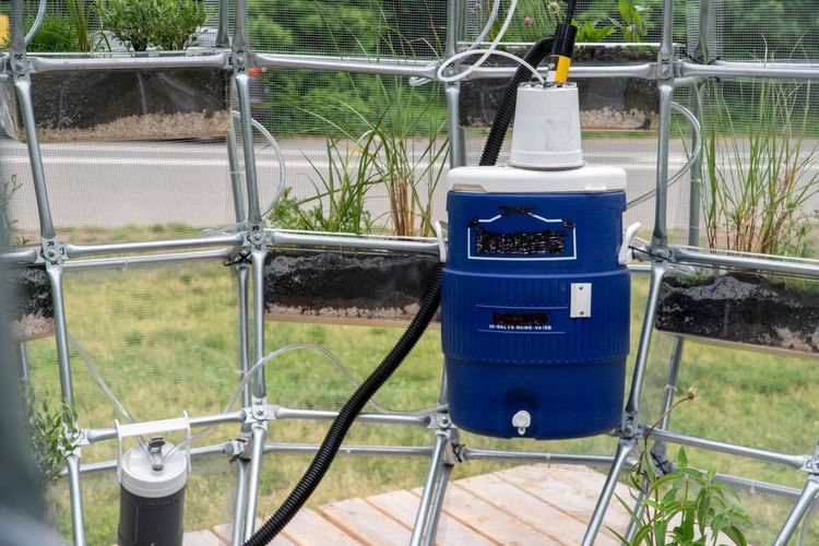 Seorang seniman visual asal New York Mary mattingly merancang sebuah alat penyaring air hujan yang dapat diubah menjadi air bersih untuk publik 