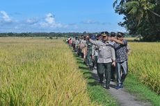 Panen Raya 1 Juta Hektar Dimulai di Kebumen, Akan Dihadiri Presiden Jokowi