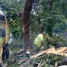 Ada Pohon Tumbang di 13 Kawasan Jakbar Imbas Hujan Disertai Angin Kencang, Lalu Lintas Macet