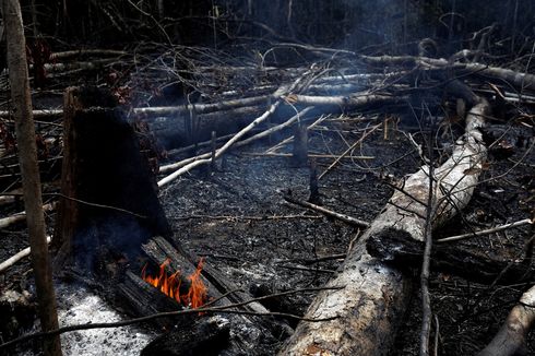 Presiden Brasil Tuduh NGO sebagai Penyulut Kebakaran Hutan Amazon