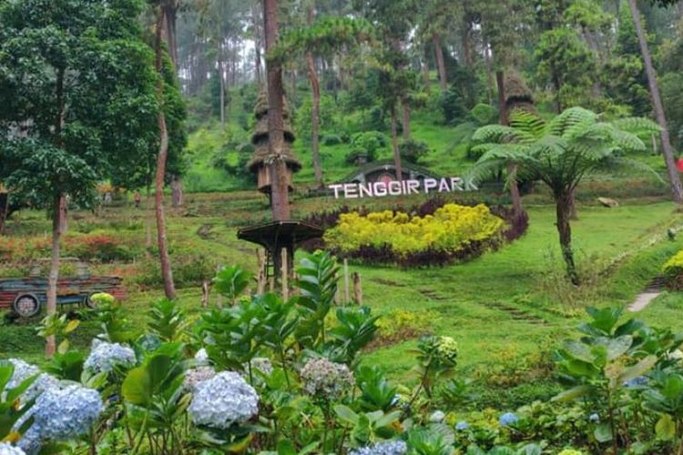 Tenggir Park, wisata alam di Karanganyar, Jawa Tengah  