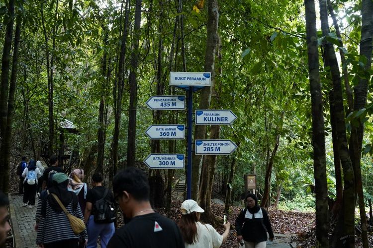 Hutan Digital di Belitung Tarik Wisatawan, UMKM Ikut Bergerak