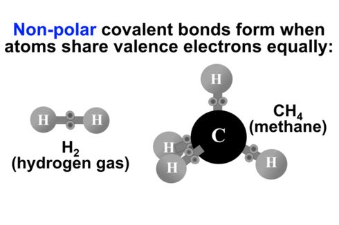 Senyawa Kovalen Non Polar: Pengertian dan Contohnya