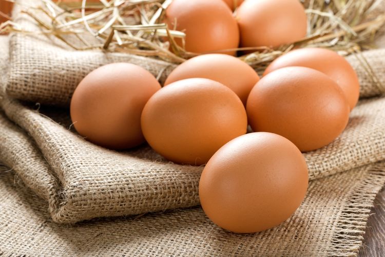 Ilustrasi telur ayam, telur.