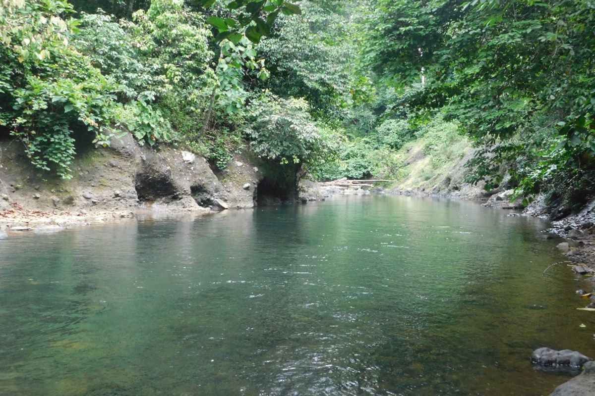 Sungai Ganeh, area yang masuk di kawasan hutan konservasi milik PT Kencana Sawit Indonesia yang tidak boleh digunakan untuk budidaya. PT KSI sendiri mengajak warga sekitar bekerja sama dalam pelestarian hutan lindung tersebut.