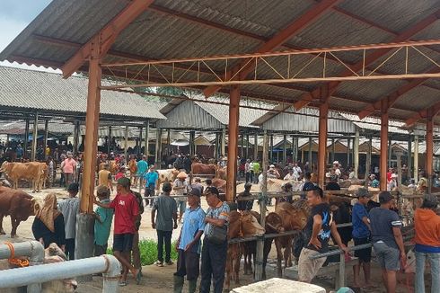 Berkunjung ke Pasar Pon, Pasar Hewan di Kabupaten Semarang yang Segalanya Ada