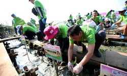 Gandeng Pemkab dan Emil Salim Institute, Aeon Foundation Tanam 1.000 Bakau di Pesisir Tangerang