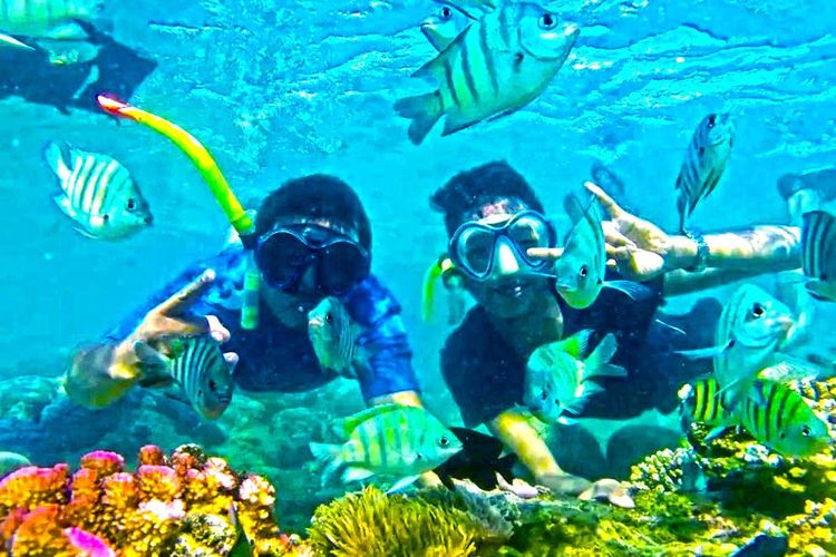 Wisata bawah air di Pulau Kabung