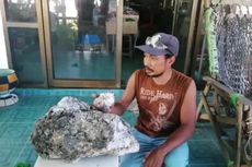 Mengenal Apa Itu Ambergris dan 5 Fakta tentang Muntahan Paus Sperma