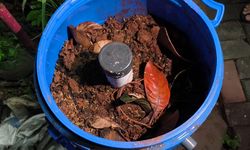 Daripada Jadi Limbah, Sisa Bahan Makanan Ini Malah Bisa Jadi Pupuk Alami