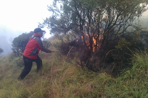 Kebakaran Hutan Gunung Bromo Sulit Dipadamkan