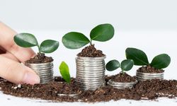 Green Financing untuk UMKM Belum Optimal, OJK Dorong Ekonomi Hijau di Daerah