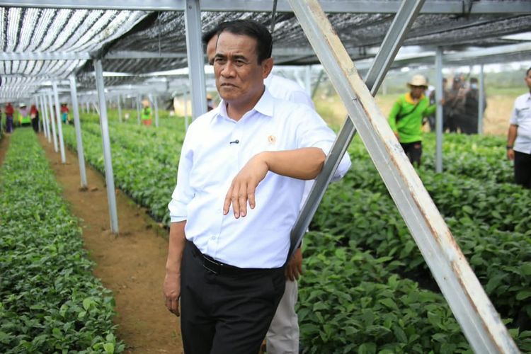 Kementan Gelontorkan Rp 350 Miliar untuk Perluasan Kopi-Kakao di Lampung