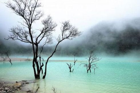 Kebakaran Hutan di Kawah Putih Ciwidey Belum Padam, Kemungkinan Meluas