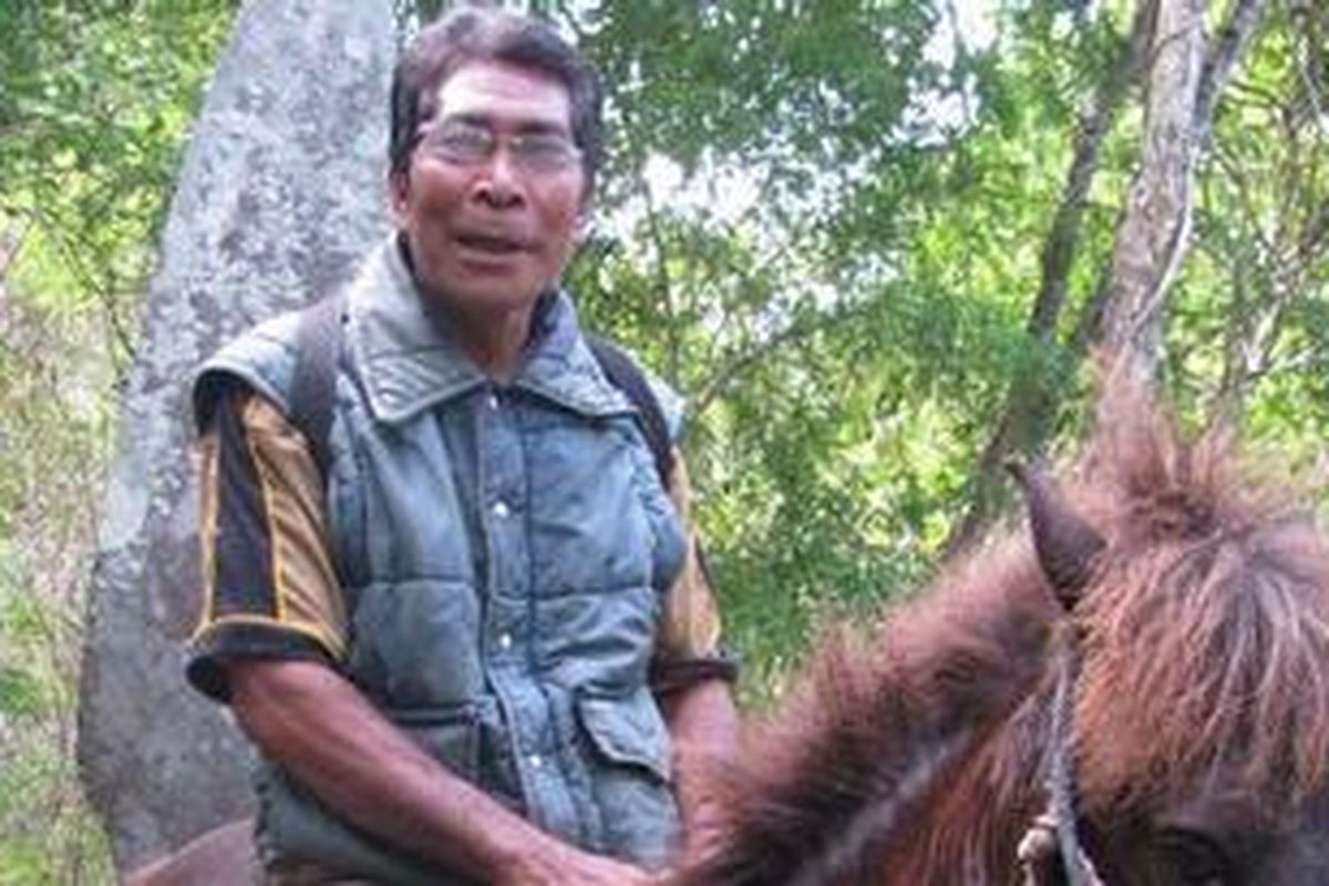 Kepala Suku Ngeli dari Suku Rongga, Kelurahan Watunggene, Kabupaten Manggarai Timur, Gaspar Jala berkuda saat mengantar wisatawan domestik dan pegawai Dinas Pariwisata Kabupaten Manggarai di situs Kuburan Pahlawan Komba, Nai Pati, Kamis (26/7/2012). 