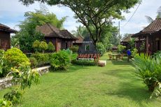 Asyiknya Mengunjungi Desa Wisata Karangrejo di Borobudur, Belajar Buat Gula Kelapa