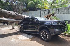 Pohon Besar Tumbang di Depan Rumah Prabowo, Timpa Fortuner sampai Ringsek