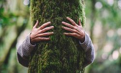 Masuk Risiko Standar Deforestasi UE, Indonesia Punya Modal Awal