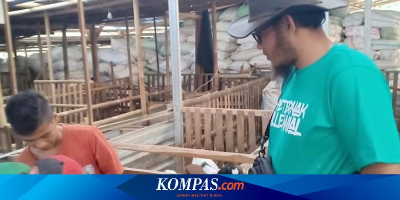 Kisah Mulyoko Sukses Jual Ribuan Kambing Setelah Berkali Kali Gagal Dalam Usaha Halaman All Kompas Com