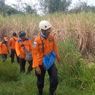 Hari Ketiga Pencarian, Lansia yang Hilang di Lahan Tebu Situbondo Belum Ditemukan