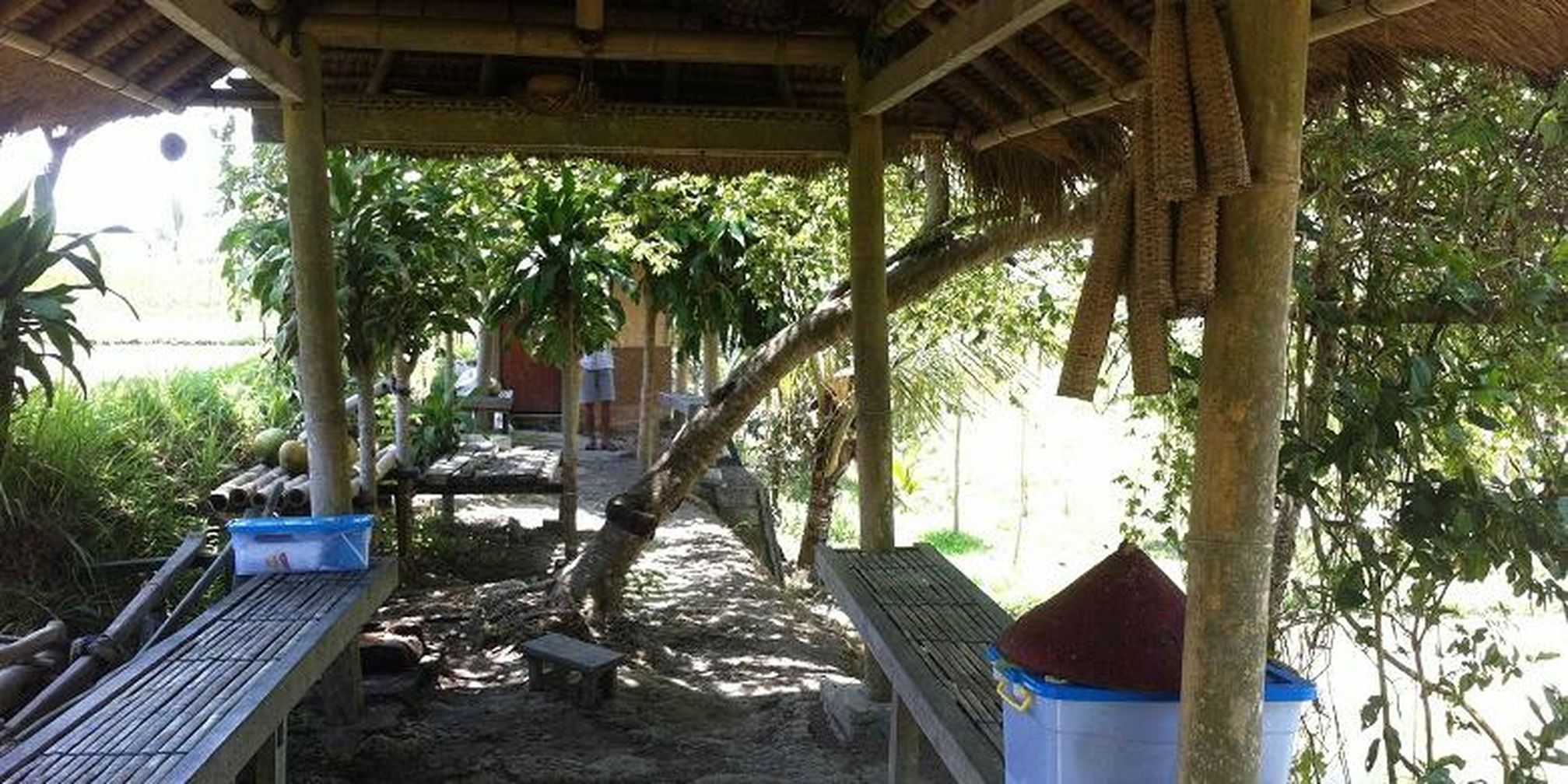 5500 Gambar Rumah Sederhana Pinggir Sawah HD