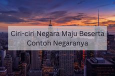 Ciri-ciri Negara Maju Beserta Contoh Negaranya