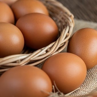 Ilustrasi telur ayam 