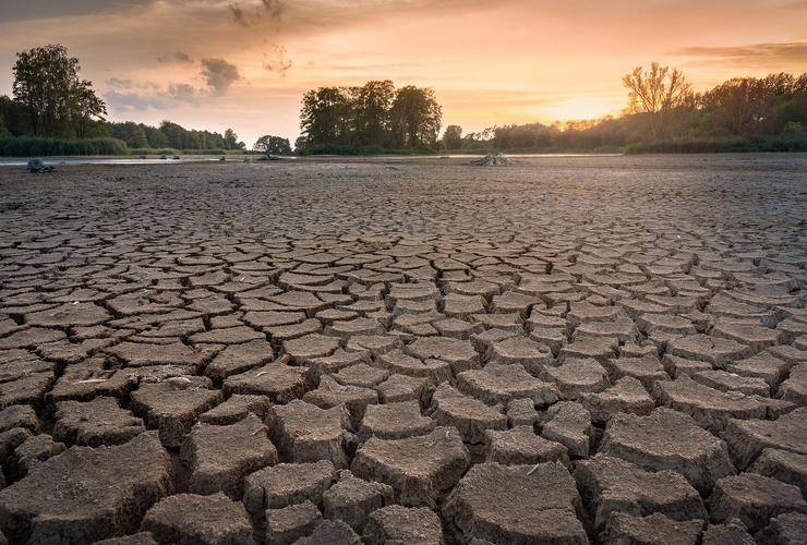 BMKG Prediksi Puncak Kemarau Panjang di Agustus, Sejumlah Wilayah Berpotensi Kekeringan