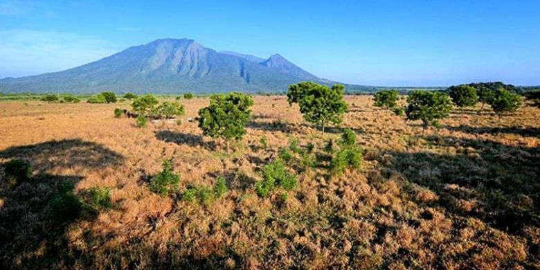 Taman Nasional Baluran di Jawa Timur.