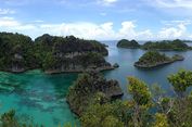 BRIN: Papua Jadi Pusat Keanekaragaman Hayati Indonesia, Simpan Ribuan Spesies Endemik