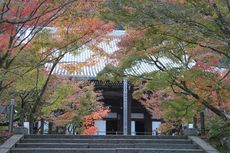 Cantiknya Musim Gugur dan Pohon Maple di Kyoto, Jepang