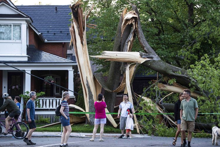 Warga dan anggota masyarakat berkumpul untuk melihat pohon yang hancur saat badai besar di Ottawa, Kanada, pada Sabtu, 21 Mei 2022. 