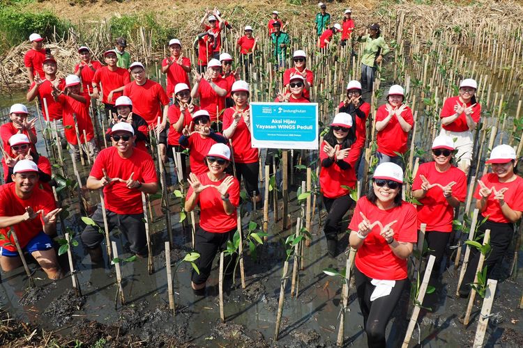 Yayasan WINGS Peduli bersama karyawan menggelar Aksi Hijau dengan menanam ratusan pohon mangrove di kawasan Ekowisata Mangrove Pantai Indah Kapuk (PIK).