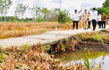 Presiden Joko Widodo meninjau lokasi pengembangan food estate atau lumbung pangan nasional dalam kunjungan kerja ke Provinsi Kalimantan Tengah, Kamis (9/7/2020).  Lokasi yang pertama ditinjau untuk menjadi lumbung pangan baru di luar Pulau Jawa tersebut terletak di Desa Bentuk Jaya, Kecamatan Dadahup, Kabupaten Kapuas.