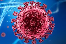 Teliti Mutasi Virus Corona, Pemerintah Akan Bentuk Tim Genomic Surveillance